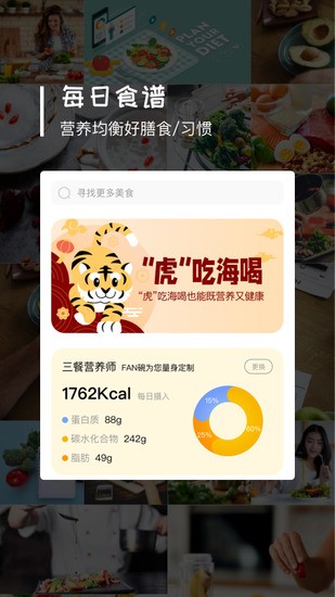 FAN碗图3