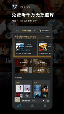 viperhifi破解版图2