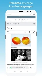 kiwi浏览器中文图4